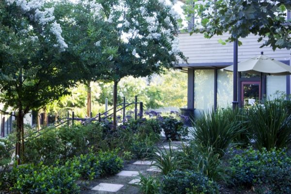 Outside view from chair